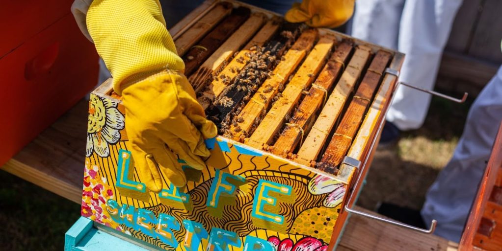 Homem segurando uma caixa de madeira com abelhas dentro.